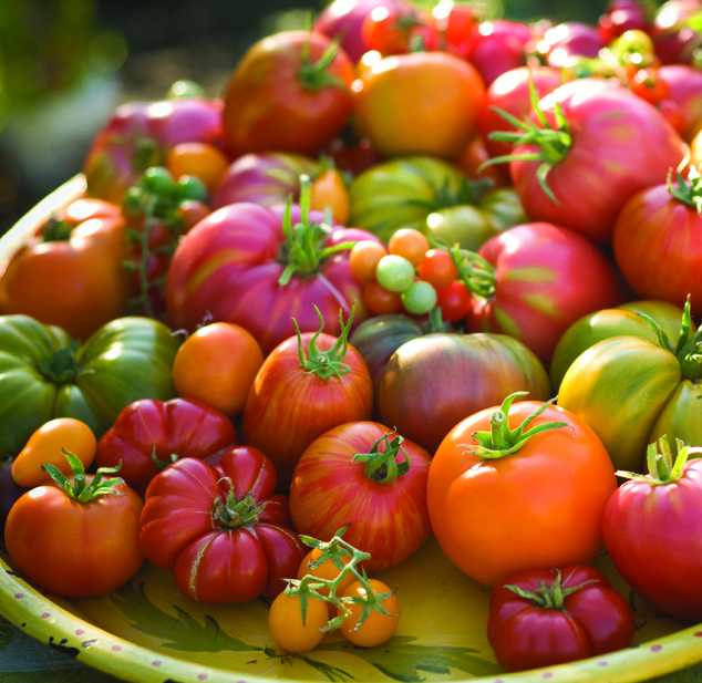 Cà chua chứa nhiều vitamin có lợi